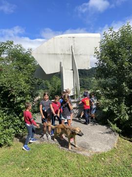 Razigrano ravensko poletje ŽIVE OBLIKE (3)